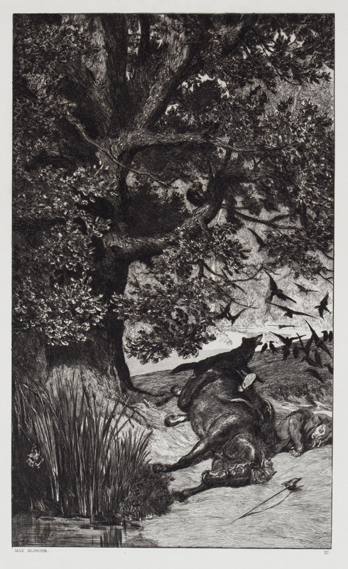 Fallen Rider