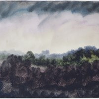 View Over the Forest