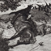 Fallen Rider